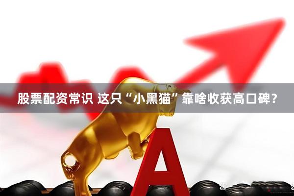 股票配资常识 这只“小黑猫”靠啥收获高口碑？