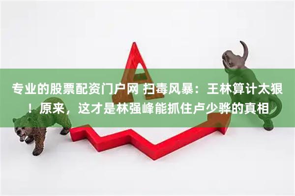 专业的股票配资门户网 扫毒风暴：王林算计太狠！原来，这才是林强峰能抓住卢少骅的真相
